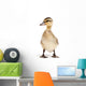 duck isolated on white Wall Decal