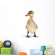 duck isolated on white Wall Decal
