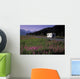 Autombiles On Seward Highway In Kenai Mtns Kp Ak Summer Wall Mural