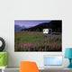 Autombiles On Seward Highway In Kenai Mtns Kp Ak Summer Wall Mural