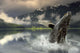 Humpback Whale Breaching Southeast Wall Mural