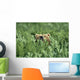 Grizzly Hidden In Ferns Near Karluk Lake Kodiak Island Ak Wall Mural