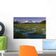Lilly Pads In Bloom On Wetlands Chugach Nf Sc Ak Summer Chugach Mtns Wall Mural