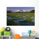Lilly Pads In Bloom On Wetlands Chugach Nf Sc Ak Summer Chugach Mtns Wall Mural