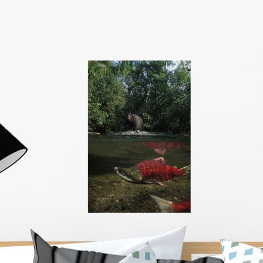 Grizzly Watches Salmon From Riverbank Digital Composite Wall Mural