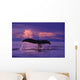 Humpback Fluke @ Sunset Lynn Canal Se Ak Composite Summer Wall Mural