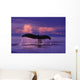 Humpback Fluke @ Sunset Lynn Canal Se Ak Composite Summer Wall Mural
