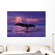 Humpback Fluke @ Sunset Lynn Canal Se Ak Composite Summer Wall Mural