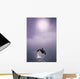 Orca Breaching In Fog Composite Alaska Southeast Wall Mural