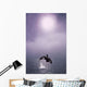 Orca Breaching In Fog Composite Alaska Southeast Wall Mural