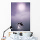 Orca Breaching In Fog Composite Alaska Southeast Wall Mural