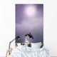 Orca Breaching In Fog Composite Alaska Southeast Wall Mural