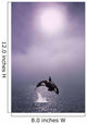 Orca Breaching In Fog Composite Alaska Southeast Wall Mural