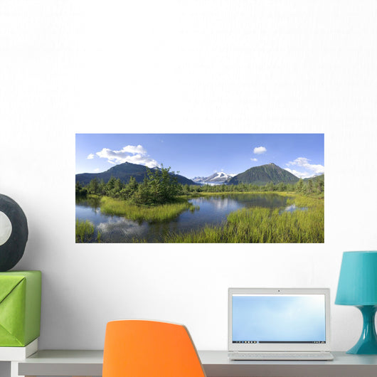 View Of Mendenhall Glacier With Pond And Green Grass Wall Mural