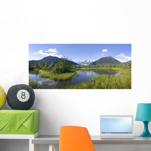 View Of Mendenhall Glacier With Pond And Green Grass Wall Mural