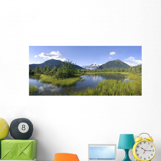 View Of Mendenhall Glacier With Pond And Green Grass Wall Mural