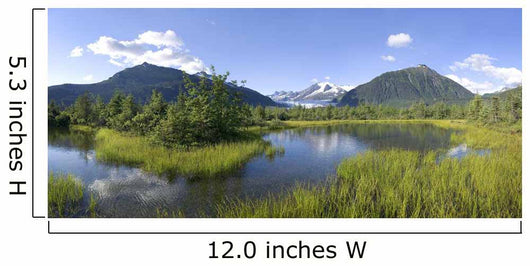 View Of Mendenhall Glacier With Pond And Green Grass Wall Mural
