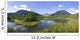 View Of Mendenhall Glacier With Pond And Green Grass Wall Mural