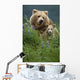 Sow Grizzly & Cubs In Grass Hallo Bay Katmai Np Alaska Wall Mural