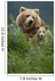 Sow Grizzly & Cubs In Grass Hallo Bay Katmai Np Alaska Wall Mural