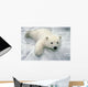 Polar Bear Cub Playing In Snow Alaska Zoo Wall Mural