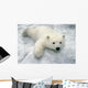 Polar Bear Cub Playing In Snow Alaska Zoo Wall Mural