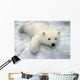 Polar Bear Cub Playing In Snow Alaska Zoo Wall Mural