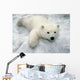 Polar Bear Cub Playing In Snow Alaska Zoo Wall Mural
