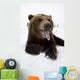 Captive Brown Bear Resting In Snow Wall Mural