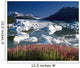 Composite View Of Colony Glacier W/ Fireweed Southcentral Wall Mural