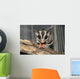 Sugar Glider Wall Mural