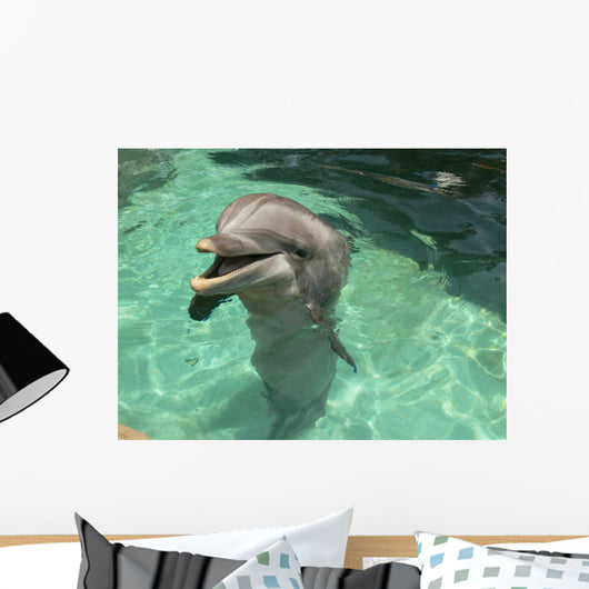 Delfin Dolphin Smile Wall Mural