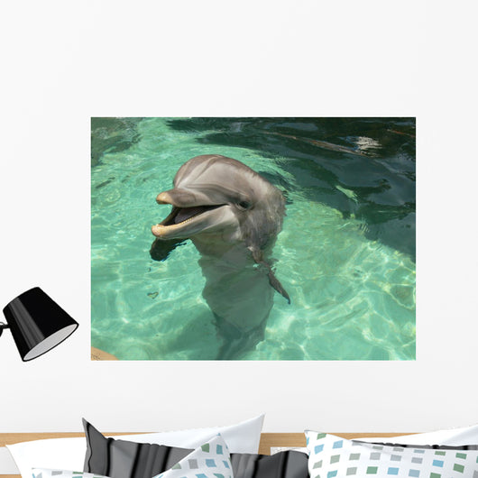 Delfin Dolphin Smile Wall Mural