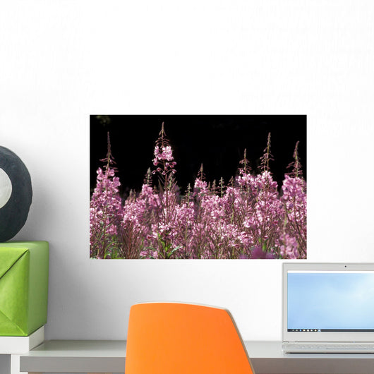 Detail Of Fireweed In Bloom Alaska Summer Wall Mural