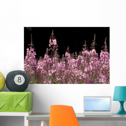 Detail Of Fireweed In Bloom Alaska Summer Wall Mural