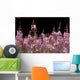 Detail Of Fireweed In Bloom Alaska Summer Wall Mural