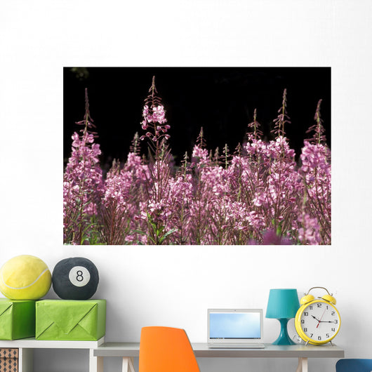 Detail Of Fireweed In Bloom Alaska Summer Wall Mural