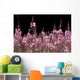 Detail Of Fireweed In Bloom Alaska Summer Wall Mural