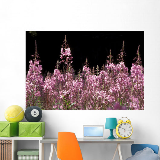 Detail Of Fireweed In Bloom Alaska Summer Wall Mural