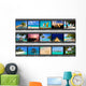 Frames Film Nature and