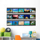 Frames Film Nature and