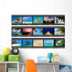 Frames Film Nature and