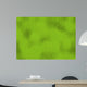 leguan haut iguana skin Wall Mural