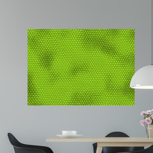 leguan haut iguana skin Wall Mural