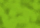 leguan haut iguana skin Wall Mural