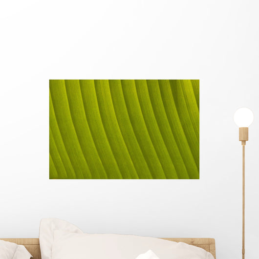 Morocco, Detail of leaf in the gardens of La Mamounia Hotel Wall Mural