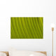 Morocco, Detail of leaf in the gardens of La Mamounia Hotel Wall Mural