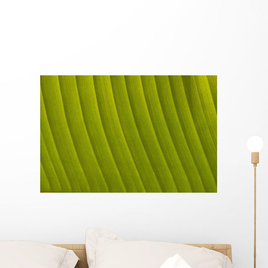 Morocco, Detail of leaf in the gardens of La Mamounia Hotel Wall Mural