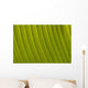 Morocco, Detail of leaf in the gardens of La Mamounia Hotel Wall Mural