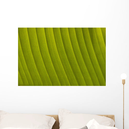 Morocco, Detail of leaf in the gardens of La Mamounia Hotel Wall Mural